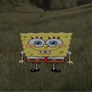 Meet your Posher, Sylvia